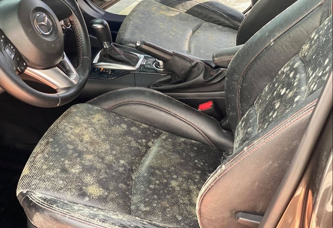 Xe ô tô cũ ít đi phần da của ghế dễ bị ẩm mốc